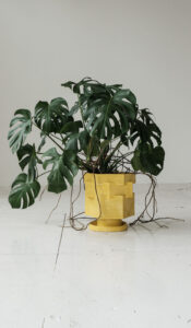 Smooth Ceramic Hex Decorative Planter