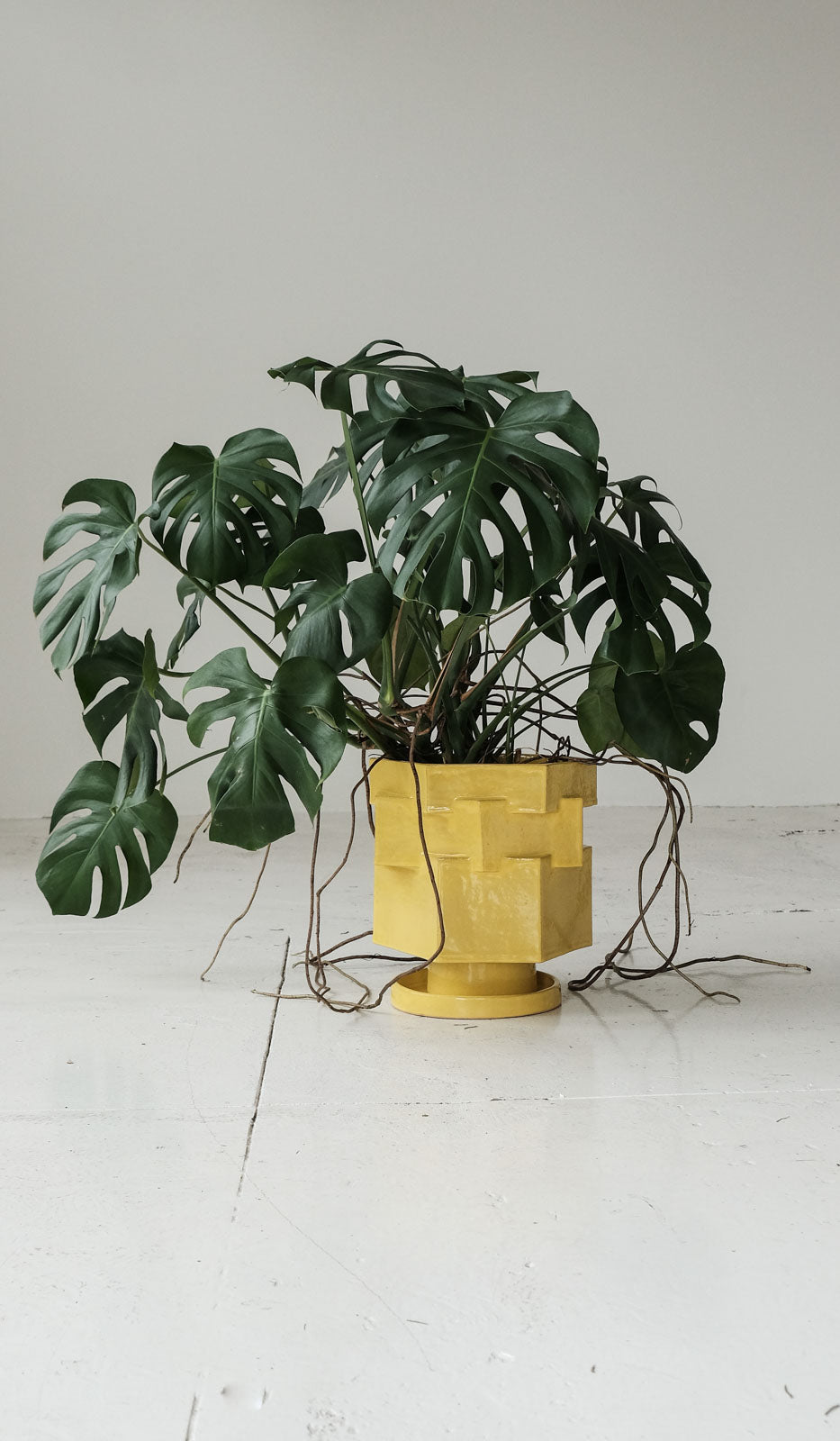 Smooth Ceramic Hex Decorative Planter