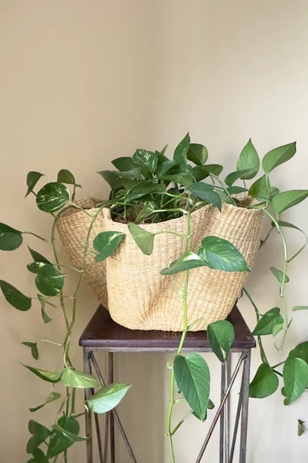Classic Natural Woven Storage Basket - Image 5